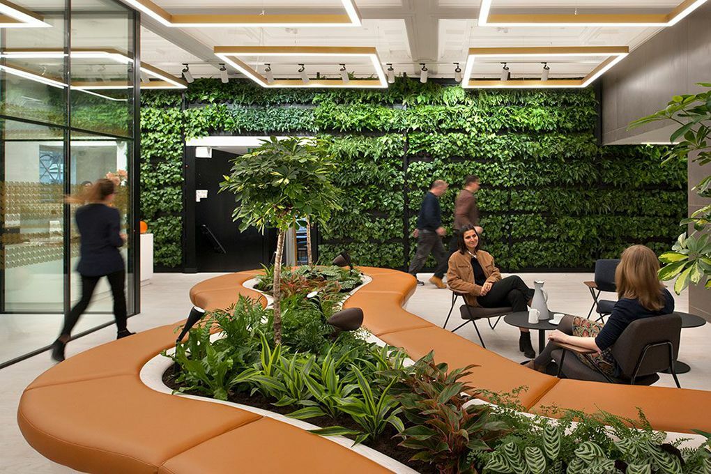 Biophilia Design