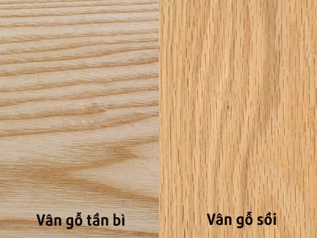Gỗ tần bì là gì? Ứng dụng gỗ ASH trong nội thất gia đình 3 So sánh giữa gỗ tần bì và gỗ sồi