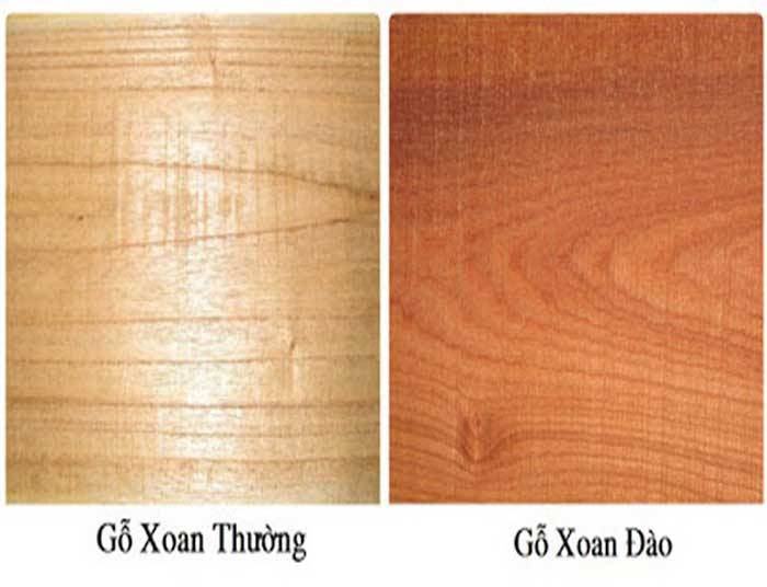 Gỗ xoan đào là gì? Ứng dụng gỗ Xoan Đào trong nội thất Gia Đình 3 Phân biệt gỗ xoan đào và gỗ xoan ta