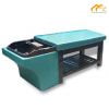 Giường gội đầu vuông 2in1 bồn nhựa màu xanh - GGD02 2 Giường spa gội đầu 2 in 1 màu xanh