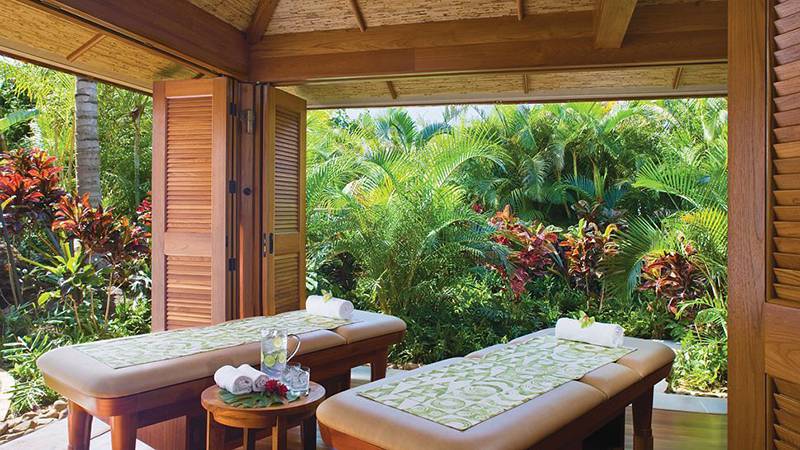 Mẫu spa thiên nhiên