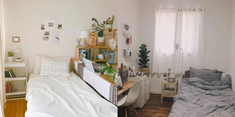 Trang trí phòng ngủ bằng Chậu cây xanh