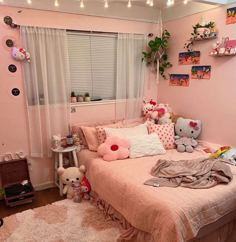 Kệ sách và nội thất treo