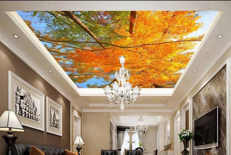 Mẫu tranh vẽ trần mây 3D