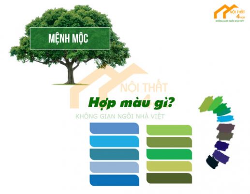Màu hợp mệnh mộc gì