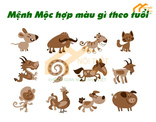 Mệnh Mộc hợp màu gì năm 2023 theo tuổi