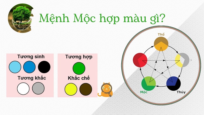 Mệnh Mộc hợp màu gì năm 2023 theo tuổi