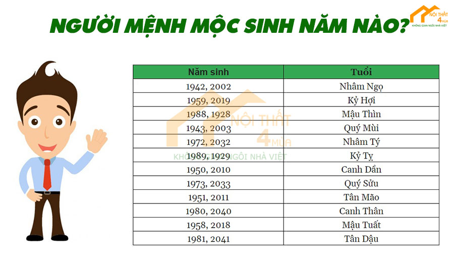 Mệnh Mộc hợp màu gì năm 2023 theo tuổi