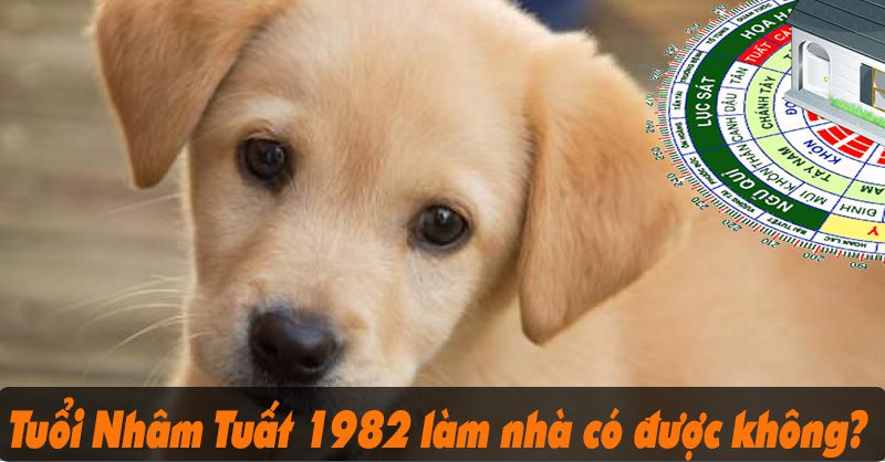 Tuổi Nhâm Tuất 1982 làm nhà có được không?