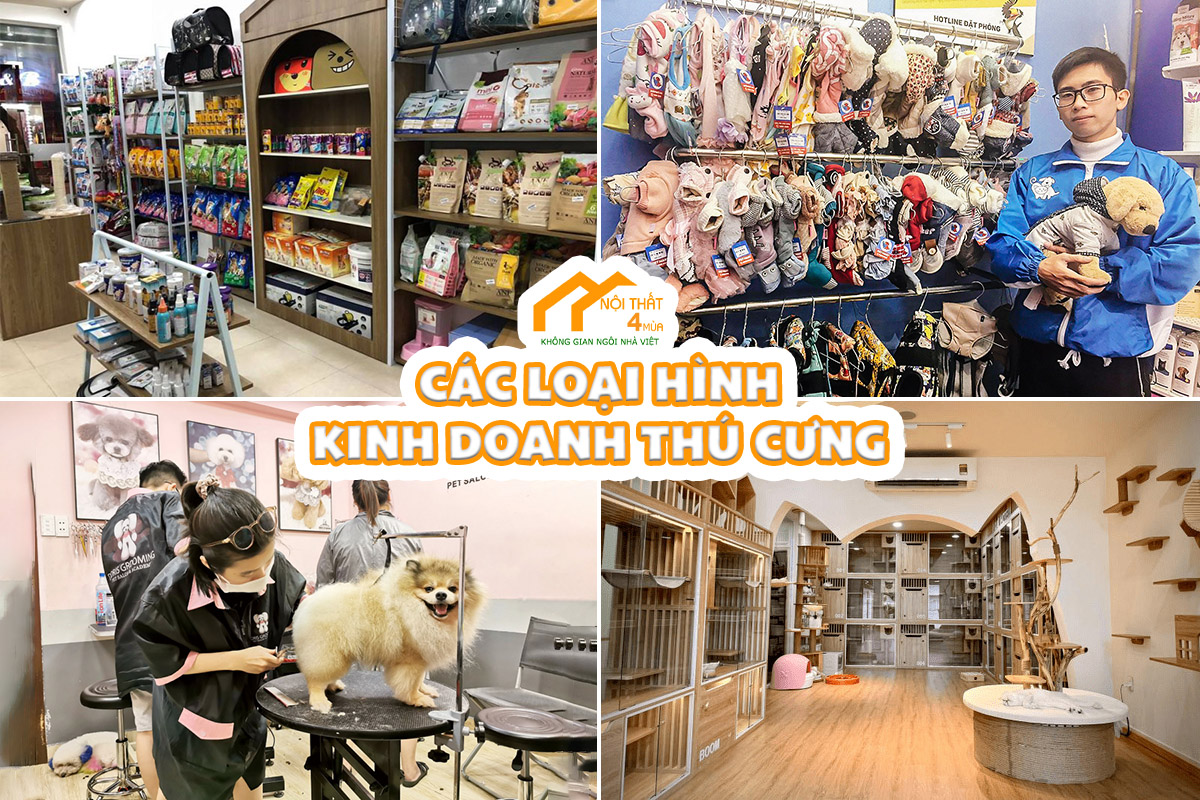 Thiết kế shop thú cưng theo xu hướng 2025 thu hút, ấn tượng 8 các loại hình kinh doanh cửa hàng thú cưng