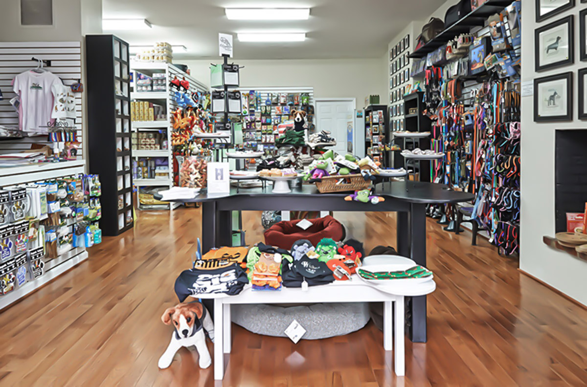 Thiết kế shop thú cưng theo xu hướng 2025 thu hút, ấn tượng 1 thiết kế shop thú cưng