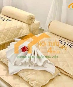 Ga phủ giường spa đẹp